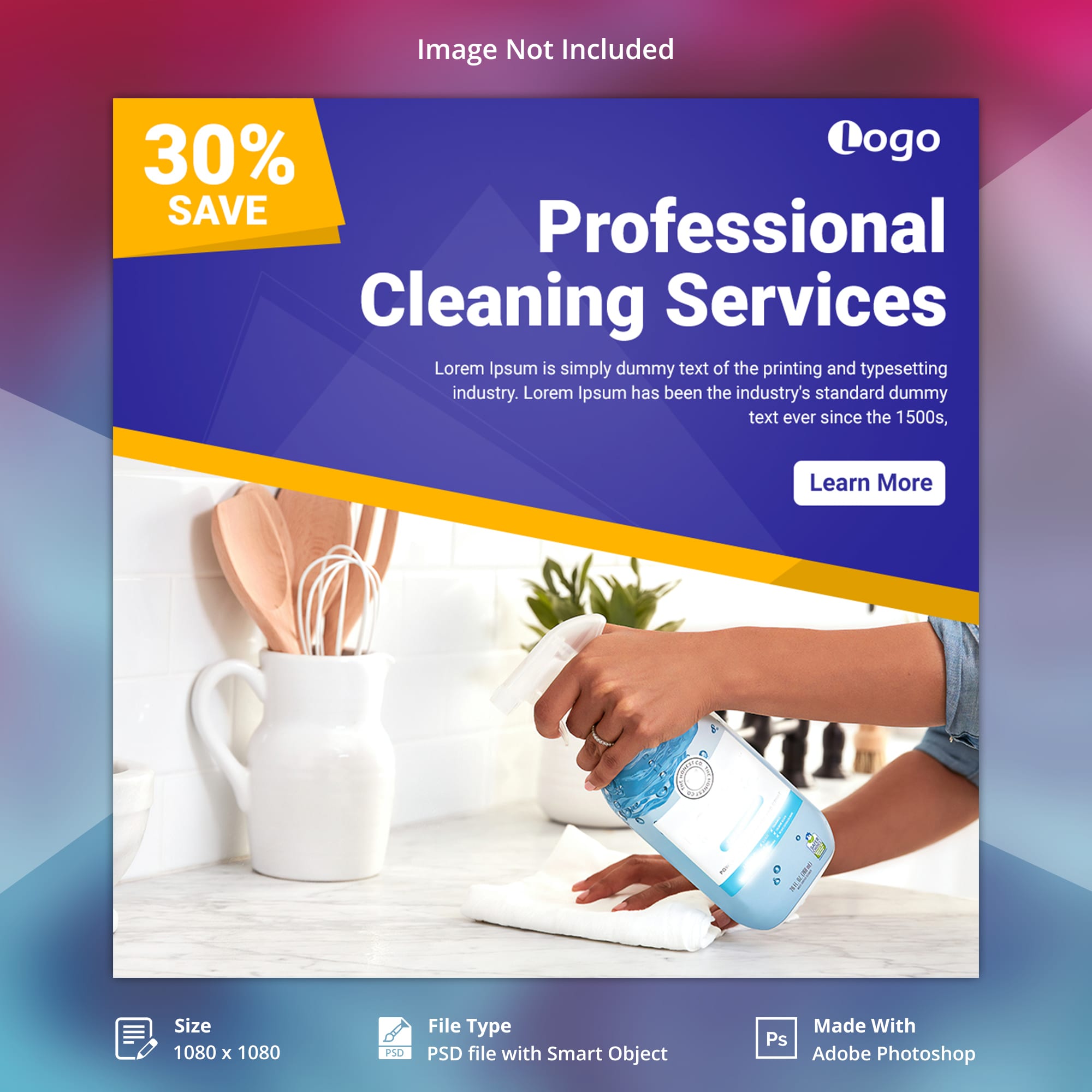 Professional Cleaning Services brochure